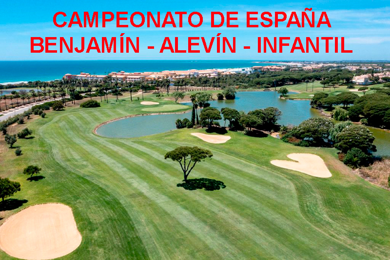 Navarra en el Campeonato de España Infantil, Alevín y Benjamín